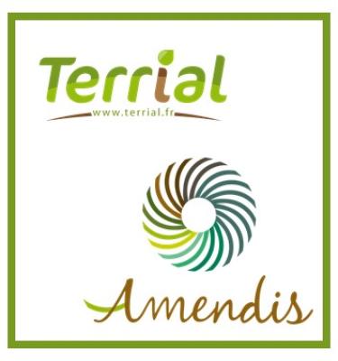 Terrial Amendis