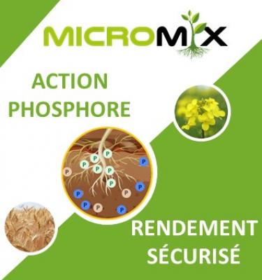Micromix phosphore rendement