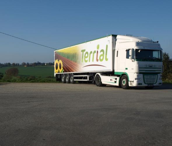 camion terrial